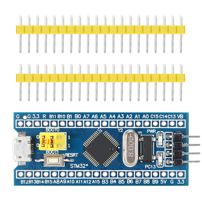 STM32 Development Board