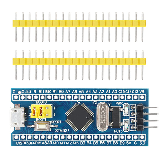 STM32 Development Board